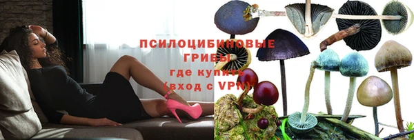 гидра Арсеньев