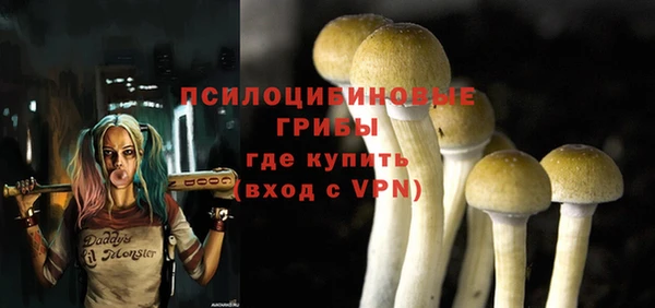 винт Аркадак