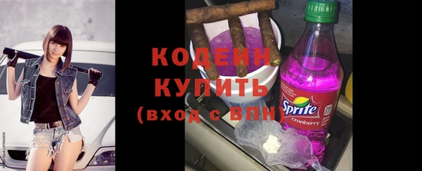 гидра Арсеньев