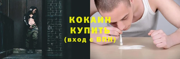 гидра Арсеньев