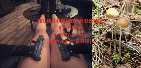 винт Аркадак