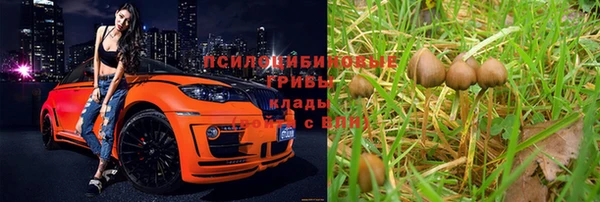 шишки Алзамай