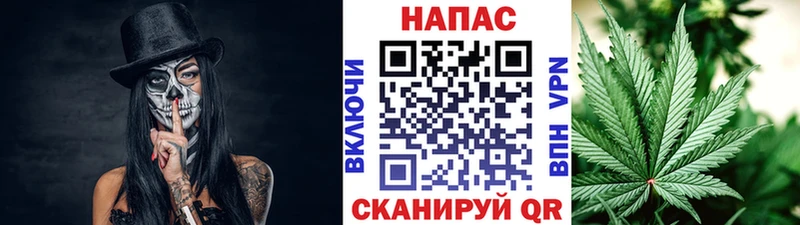 OMG зеркало  Суворов  Конопля ГИДРОПОН 